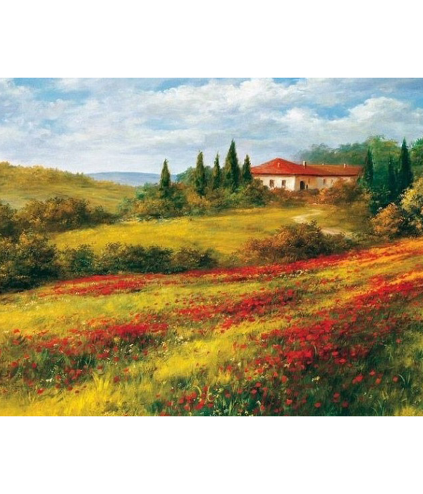 Peizažas su aguonom 12-PZ