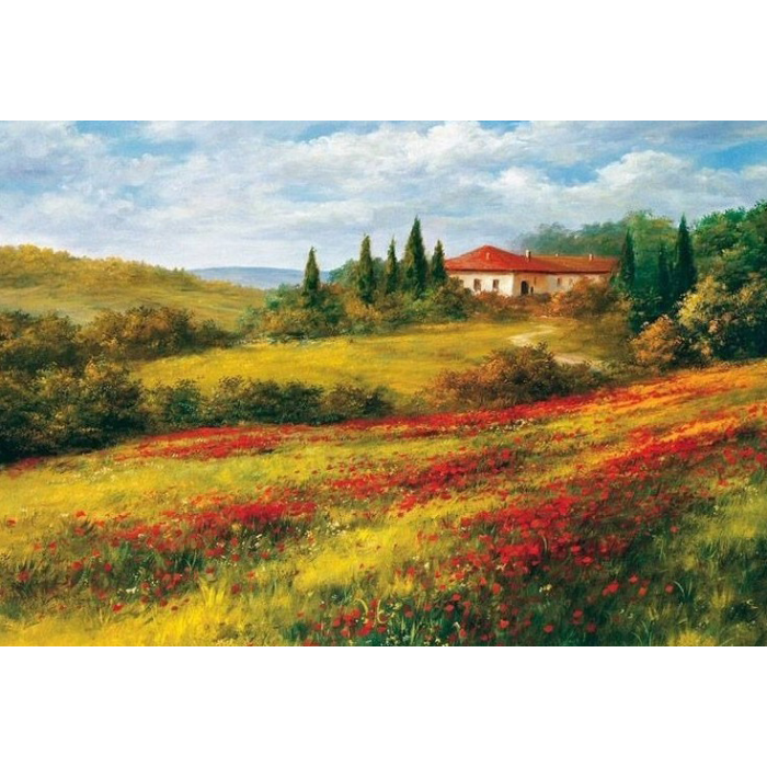 Peizažas su aguonom 12-PZ