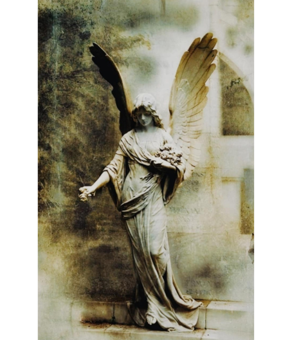 Angelas 136-MB