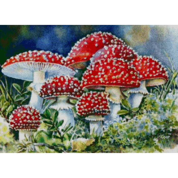 Musmirės 89-IV - Image 2