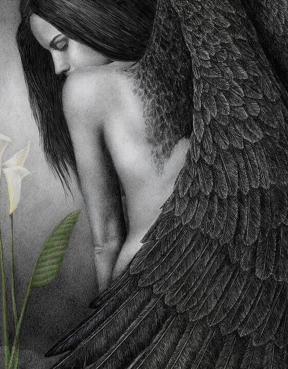 Angelas juodais sparnais 42-MB