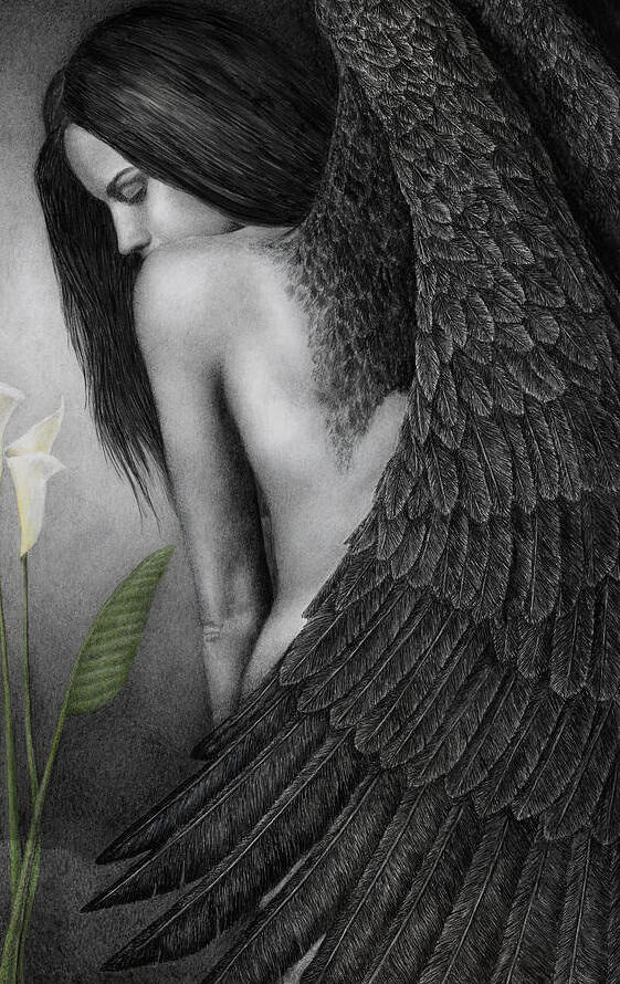 Angelas juodais sparnais 42-MB