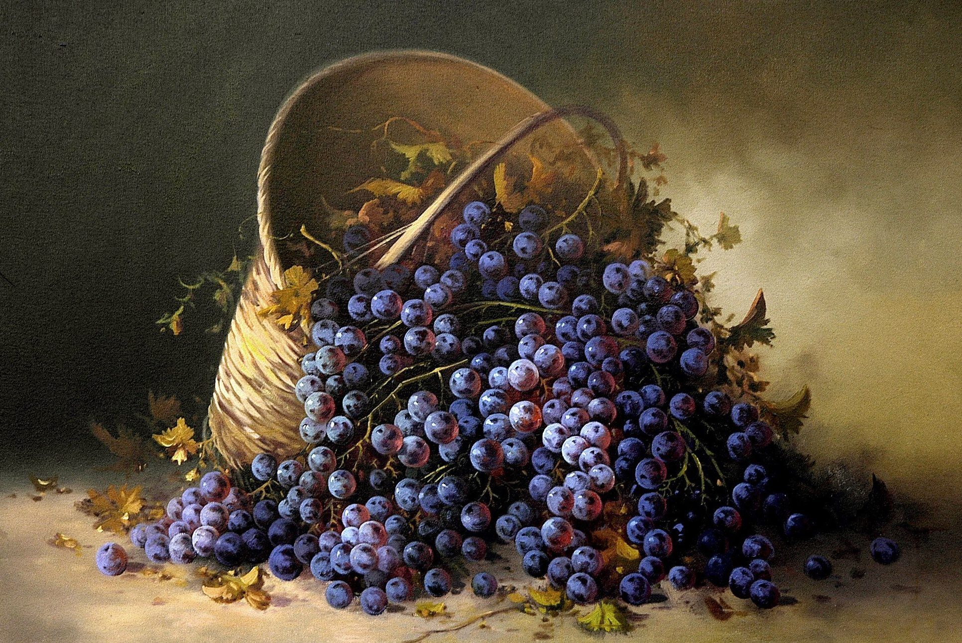 Vynuogės 55-IV