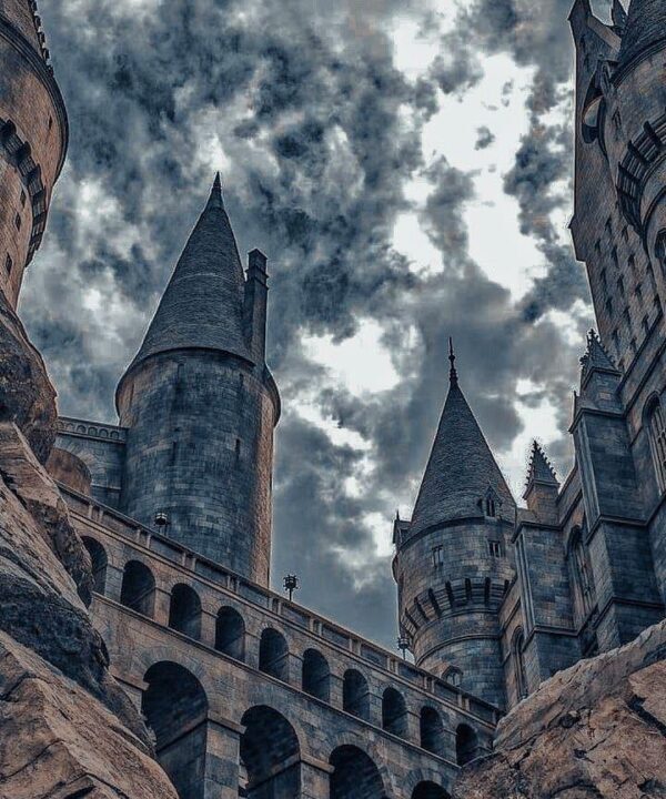 Hogwarts 45-MS