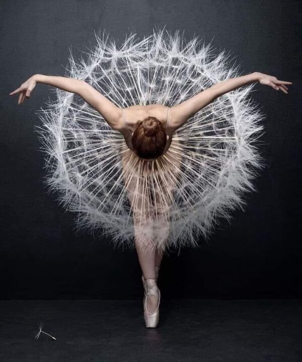 Balerina 8-SK
