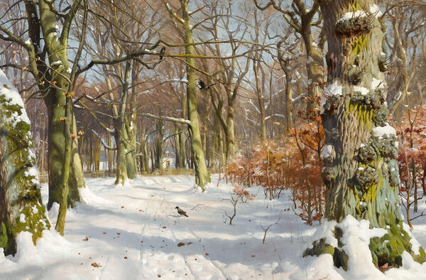 Parkas žiemą, Peder Mork Monsted  154-SD