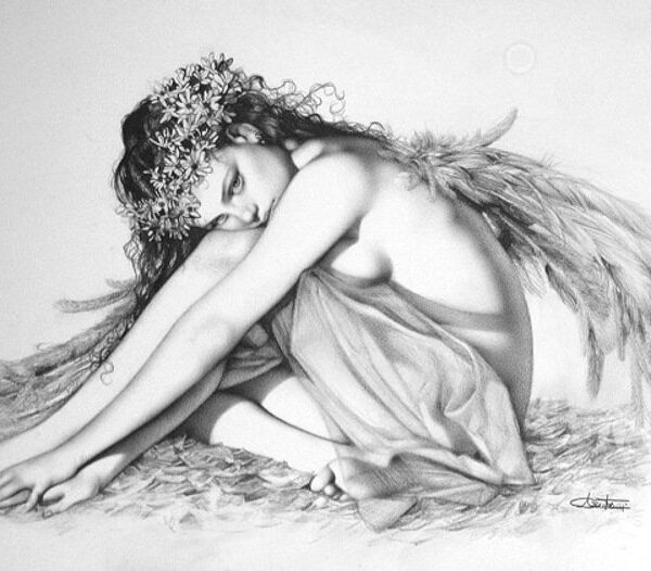 Angelas 36-MB